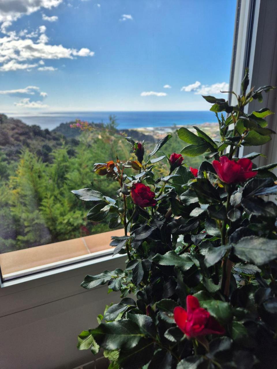 Villa Vista Alegria Santa Susanna