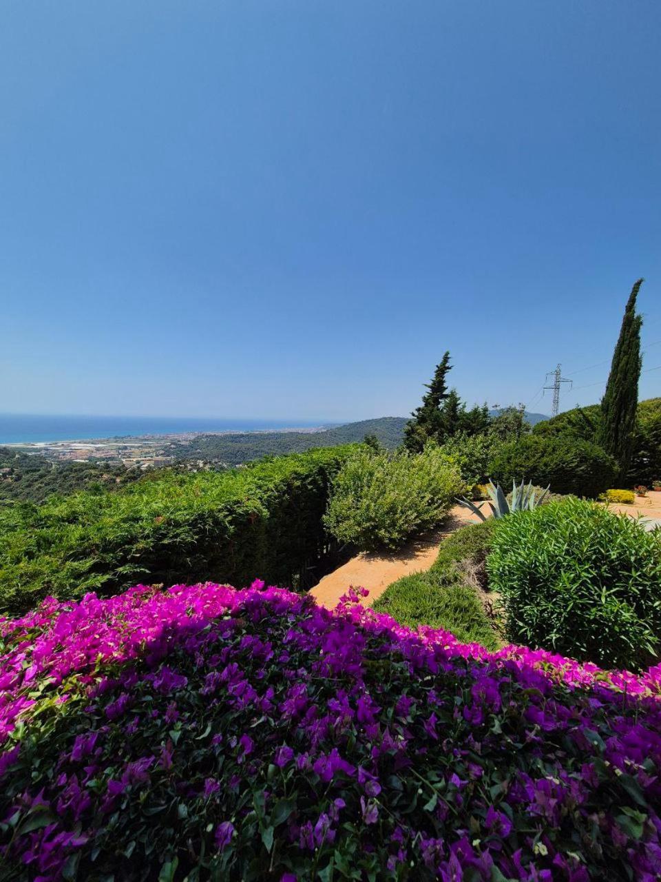 Vista Alegria Villa